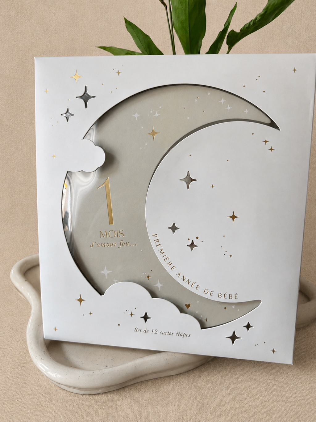 Cartes étapes première année de bébé - Modèle Moon